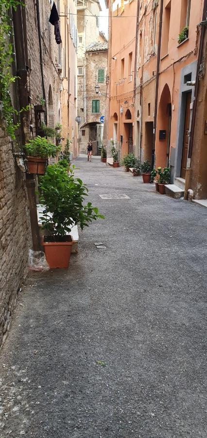 B&B Serena Perugia Bagian luar foto
